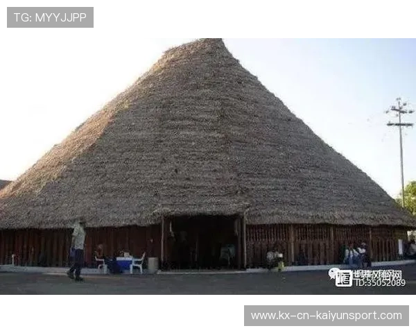 圭亚那体育设施升级提升运动水平，圭亚那有足球队吗